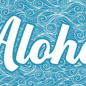 Aloha hamamdoek katoen blauw